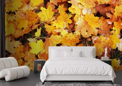 background golden maple leaves autumn top view Wall mural