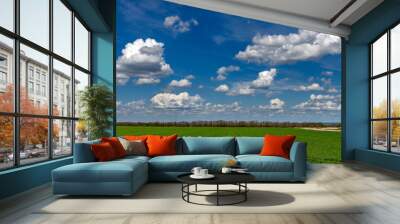 Green wheat field under blue sky Wall mural