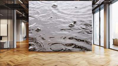 rainy day. bubbles on the water surface. photo toned Wall mural