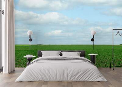 rural landscape. bright juicy green of the fields. grow a new crop.photo toned Wall mural