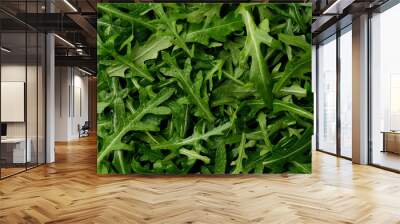 fresh arugula leaves top view Wall mural