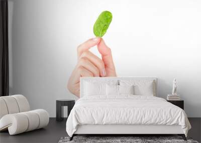 spinach leaf in female hand on white background. healthy food concept Wall mural