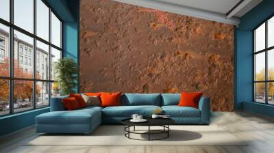 Deep rusted iron background Wall mural