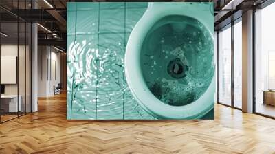  A clogged toilet. Messy situation: toilet backing up. Wall mural