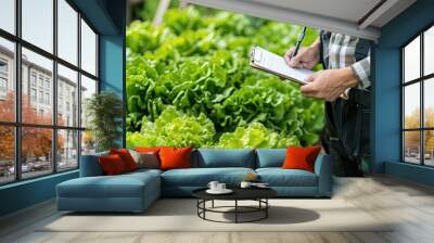 Man inspects and records quality of green lettuce in greenhouse cultivation. The gardener's attention to detail in assessing lettuce quality. Wall mural