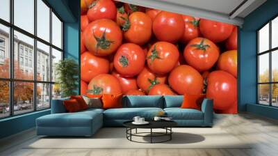 Background of fresh ripe red natural tomatoes, healthy vegetables, vegan food. Wall mural