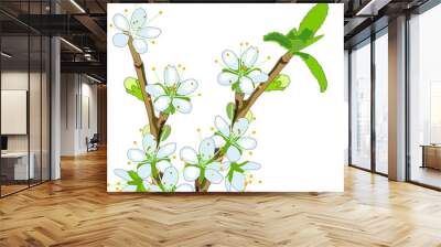 spring plum tree with flowers Wall mural