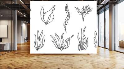 Algae set. Hand drawn collection of colored algae. Sea plants.Vector illustration. Doodle style. Wall mural