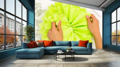 Step by step tutorial on making a light green fluffy pom-pom from tissue paper. Top view. Step 9 Wall mural