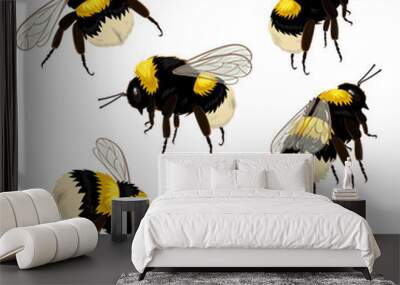 Set of bumblebees isolated on white background in different angles. Vector illustration. Wall mural