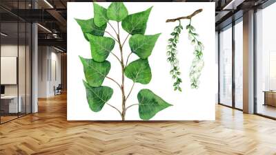 watercolor black poplar branch and fruits isolated on white background. hand drawn painting plant il Wall mural