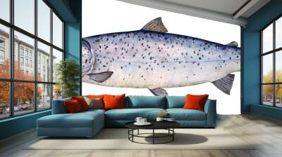 Watercolor lake trout (Salmo Trutta Lacustris). Hand drawn fish illustration isolated on white background. Wall mural