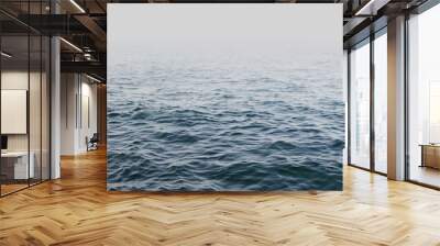 Fog Black sea background Wall mural