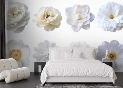 The white flower collection is an isolated PNG with a white background Wall mural