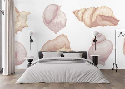 Set of colorful seashells. Vector graphics. Wall mural