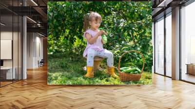 4 year old girl in rubber boots eating a large cucumber in the village on a summer day Wall mural