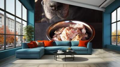 Slices of beef tripe in a bowl and the nose of a dog that looks at the food with appetite, on a dark background. Natural and proper protein nutrition for pets closeup. Wall mural