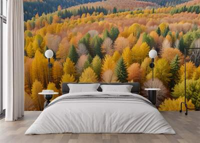 Landscape, autumn forest from a bird's eye view, bright colors of autumn. Wall mural