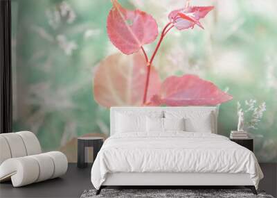 flower in garden Wall mural