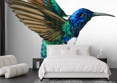 Hummingbird watercolor illustration. Wall mural