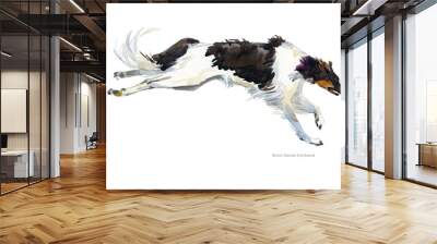 Russian wolfhound breed dog watercolor portrait isolated on white. Borzoi illustration. Wall mural