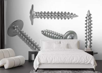 screws and self-tapping screws made of white metal, isolate on a white background, space for text Wall mural