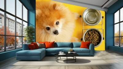 dog eating dry food and water in bowl, looking at the camera, waiting command, orange background. animal and diet. pet care and feeding. ginger Pomeranian spitz do not eat. Wall mural