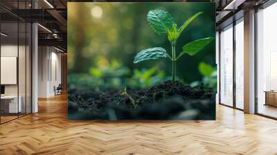 Green plant growing in soil with green nature background. The concept of renewable energy sources Eco Wall mural