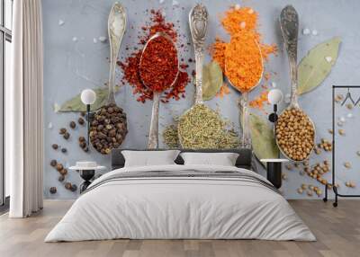 Variety of herbs and spices on slate background. Wall mural