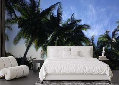 palm trees on background of blue sky Wall mural