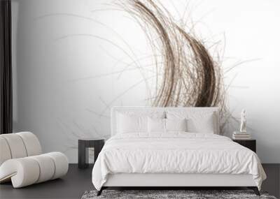 Hair bundle isolated on white background. tuft hair close-up Wall mural