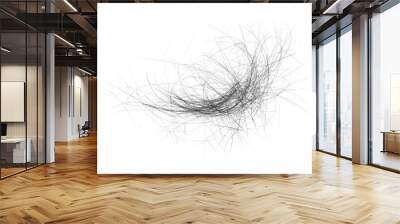 Hair bundle isolated on white background. tuft hair close-up Wall mural