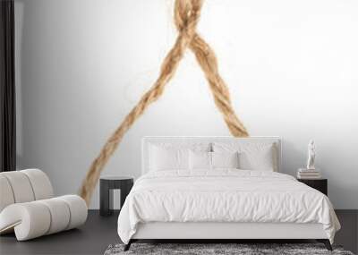 Piece of brown twine isolated on white background. rope Wall mural