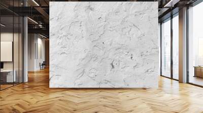 Seamless white rough concrete wall texture background. cement wall. plaster texture. blank for the designer Wall mural