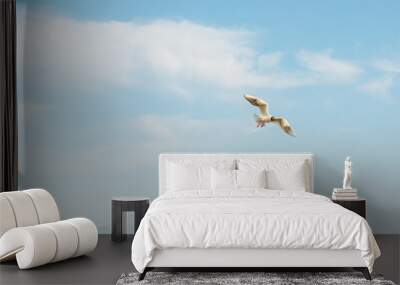 White seagulls fly against the background of blue sky and clouds on a sunny day. birds on the sand by the sea Wall mural