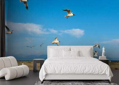 White seagulls fly against the background of blue sky and clouds on a sunny day. birds on the sand by the sea Wall mural