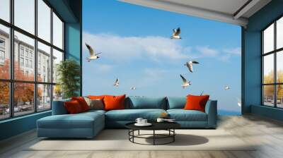 White seagulls fly against the background of blue sky and clouds on a sunny day. birds on the sand by the sea Wall mural