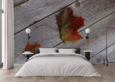 two maple colored autumn leaves on a wooden background Wall mural