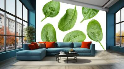 spinach leaves on white isolated background Wall mural