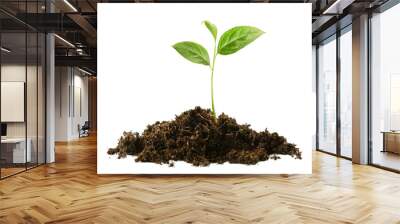 sprout in a pile of soil on a white isolated background Wall mural