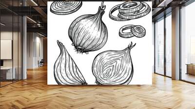 Vector sketch illustration of onion set drawing isolated on white. half, whole and cut rings. Engraved style. Ink. natural business. Vintage, retro object for menu, label, recipe, product packaging Wall mural