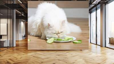 The vegetarian cat is eating the vegetable slices from a plate. The animal vegan is feeding the fresh raw cucumbers. The concept about healthy and dietary food. It is the white pet in a kitchen. Wall mural