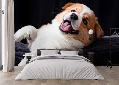 A cute dog is lying on a bed on a black background Wall mural