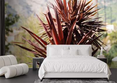 Close-up part of burgundy tropical palm branches. Summer tropical natural background Wall mural