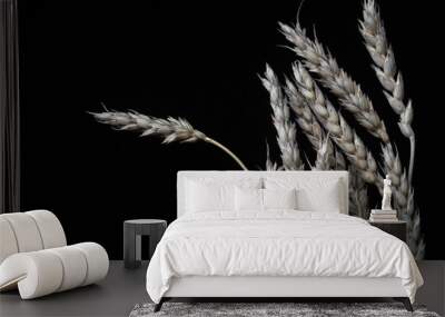 Dry ears of wheat on a black background. Wall mural