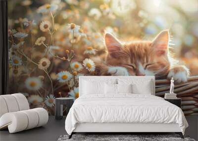 Kitten peacefully sleeping in a wicker basket surrounded by wild daisies Wall mural