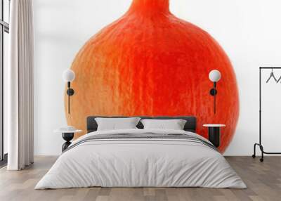 orange pumpkin on a white background Wall mural