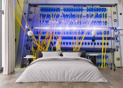 Equipment for high-speed access to the Internet. Fiber-optic wires are connected to the Optical Fiber Distribution Frame. Wall mural