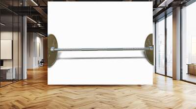 Silver barbell with a dollar sign on a white background 3d-rendering Wall mural