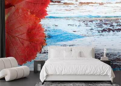 On the old boards with peeled white and blue paint are two red leaves. Close-up with a place for text. Wall mural